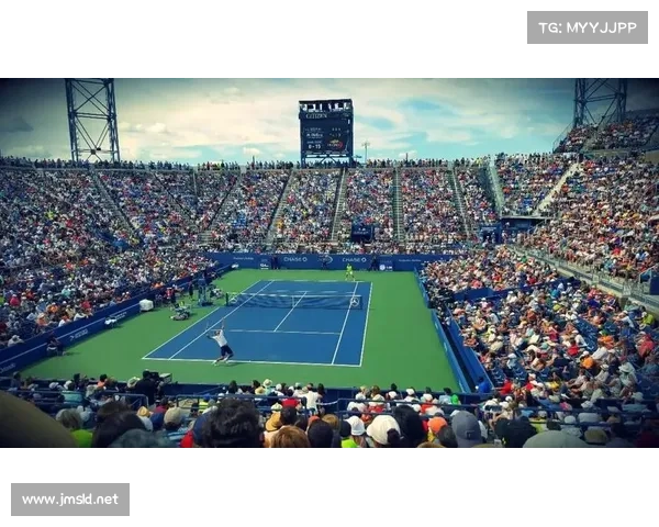 体育赛事法律声明—体育赛事法律法规