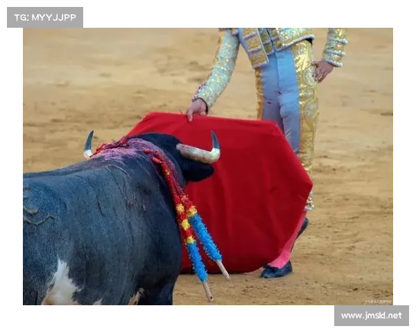 斗牛比赛赛制,激情斗牛盛宴公牛奔腾斗牛士英勇红斗篷舞动生死较量全场沸腾