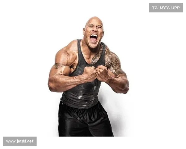 新西兰拳击赛事官网